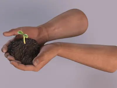  Hands Holding Seedling 