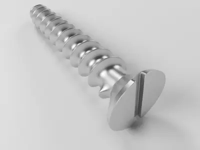 Screw 3D model order