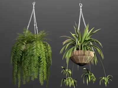  Rattan Pendant lights with hanged Plants 