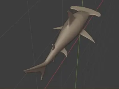 Hammerhead Shark 3D model purchase
