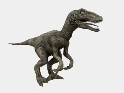 Velociraptor t - rex dinosaur Low-poly 3D model