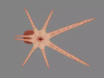 Cartoon Octopus Low-poly 3D model buy