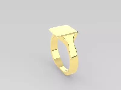 Rings Women And Man Rings 3dm 3D print model