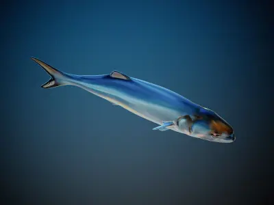 Fish PBR animation rigging Low-poly 3D model