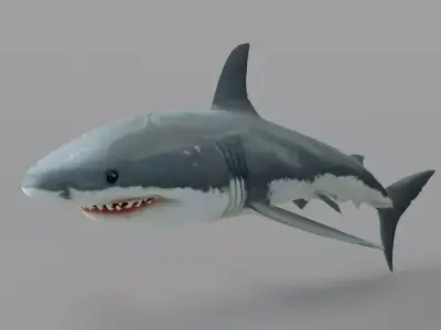 Shark-C4D great shark Free 3D model