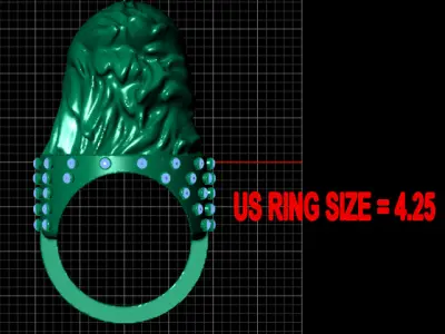  EAGLE BIRD FACE RING  pendant  3D print model