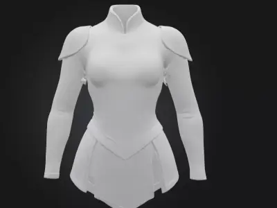 Enchanted Warrior Costume Low-poly 3D model