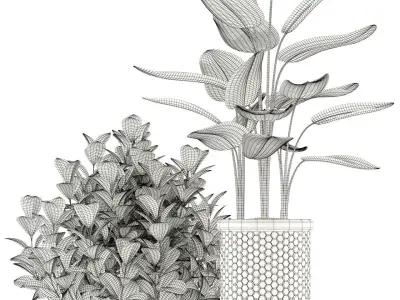 Plants collection 118 3D model
