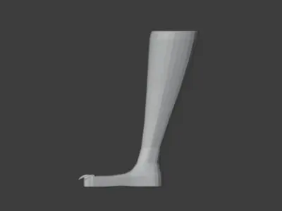 Bird Prosthesis - Mutum Free 3D print model