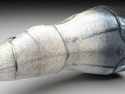 Dragon Tooth 3D model