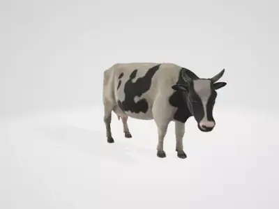 3D Cow 3D model