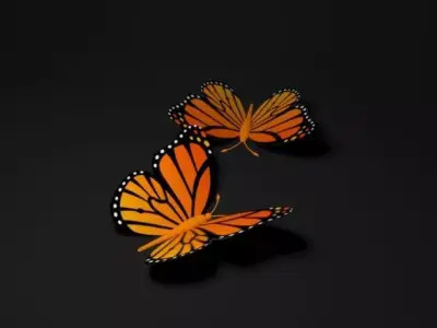 Butterfly 3D model 5
