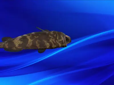Fish Animation 3d model  Low-poly 3D model