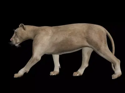 3DS Max Lion Rigged Low-poly 3D model