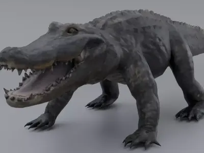 Alligator Low-poly 3D model