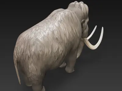 Mammoth 3D Model Basic - Low Poly Low-poly 3D model purchase