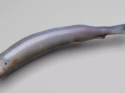 Carrion Fish 3D model