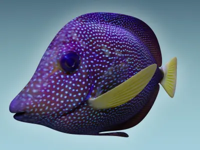 Zebrasoma Fish 5 3D model