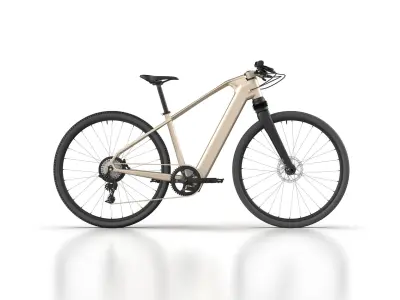 ELECTRIC CITY BIKE ACTUAL DIMENSION 3D model