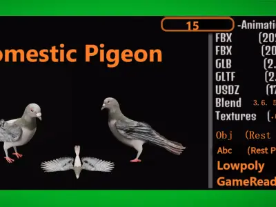 Pigeon Low-poly 3D model 2