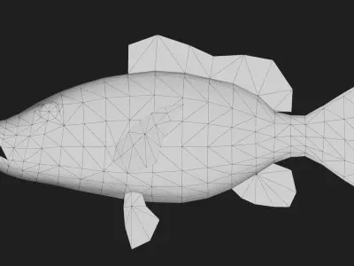 Snapper Low-poly 3D model 2