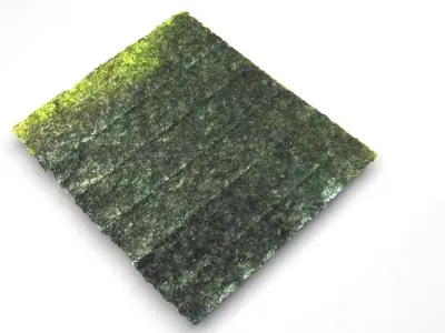 Sushi Nori 3D model