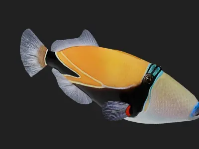Filefish Low-poly 3D model order