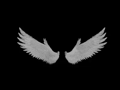 wings angel 3D model