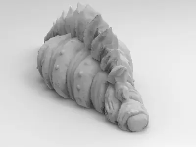 Rare Viking  Sea Shell 3D print model