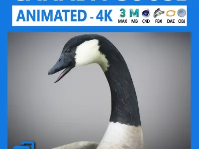 Animated Canada Goose 3D model