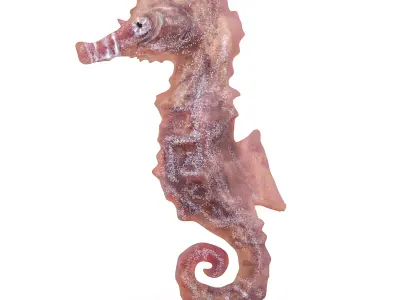 Atlantic seahorse rigged 3D model