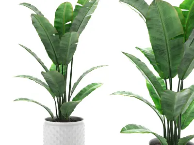 flower pot Low-poly 3D model purchase