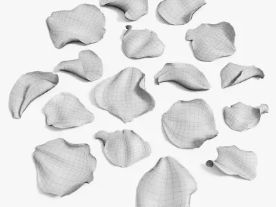 Rose Petals Extended Rebuild 3D model