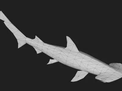 Shark Low-poly 3D model 11