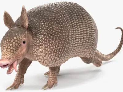 Armadillo Pink Rigged 3D model