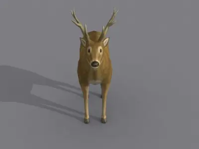a deer Free 3D model