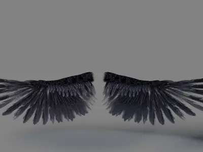  Bird Wings Rigged 
