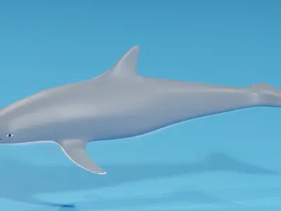 Cartoon Dolphin 3D model buy