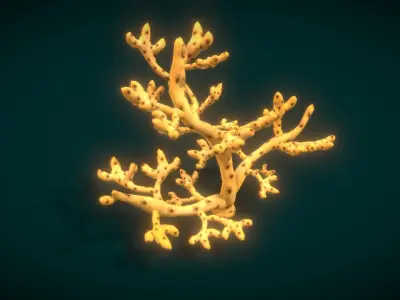 Cartoon Seaweed 10 Low-poly 3D model