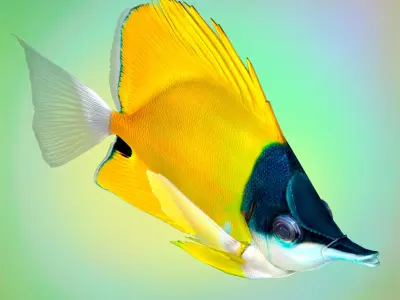 Fish Forcipiger Flavissimus Low-poly 3D model