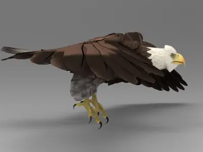 Eagle - Rigged - Animated Low-poly 3D model