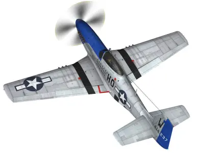 North American P-51D Mustang - Moonbeam McSwine 3D model