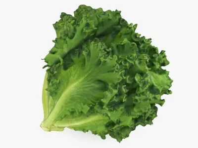  Lettuce Collection 1 