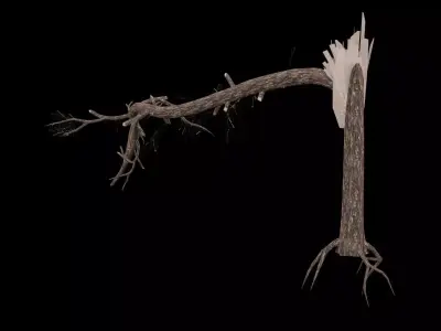 Realistic Snag Tree Low-poly 3D model purchase