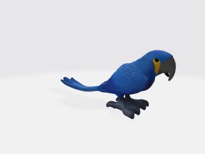 Macaw parrot 3d model Low-poly 3D model