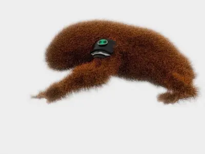 WILDMUTT 3D model