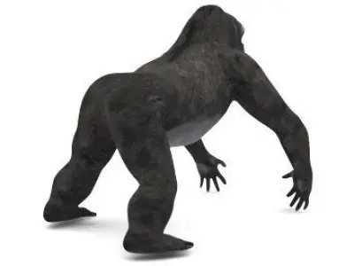 GORILLA 3D model purchase