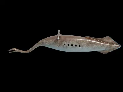 Tully Monster Tullimonstrum Free low-poly 3D model