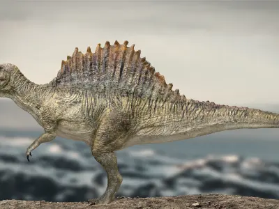 Spinosaurus Rigged 3D model Low-poly 3D model