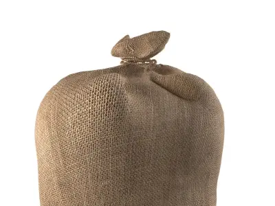 Sack 1   Low-poly 3D model